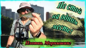 Секрет улова в жару: Не стой на одном месте! Плотва. Мормышинг
