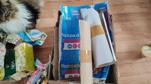Распаковка посылки. Приехали сингониумы