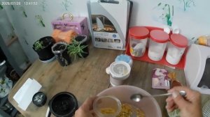 Вот такой сушеный чеснок у меня получился.