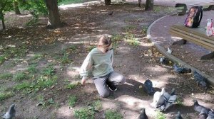 как мы кормили голубей