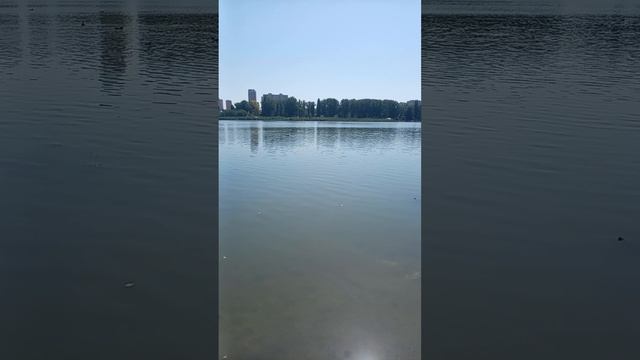 ВСЁ😍 ДЫШАЩЕЕ💞 , ДА ХВАЛИТ🙏 - ГОСПОДА❤️ !!!