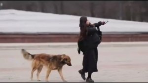 Животные видят то, что не видят люди 🤗