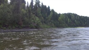 Сплав по реке Томь. Кемеровская область. Что не далеко от города Междуречинск