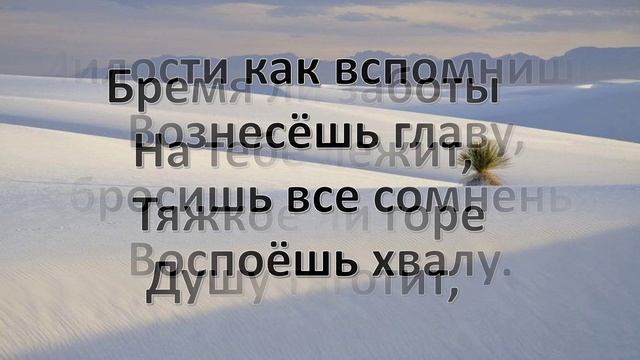 19.07.2026 Программа