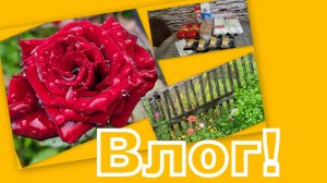 ВЛОГ: ХОДИМ ЗА ЗАКАЗАМИ, НАШИ НОВОСТИ ВО ДВОРЕ и КРАСОТА, КОТОРАЯ  РАДУЕТ!