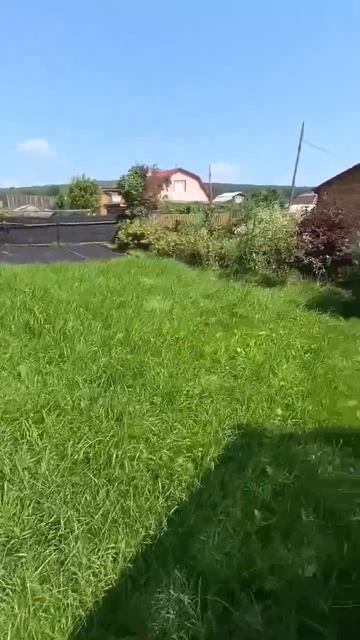 VID_20260728_125350