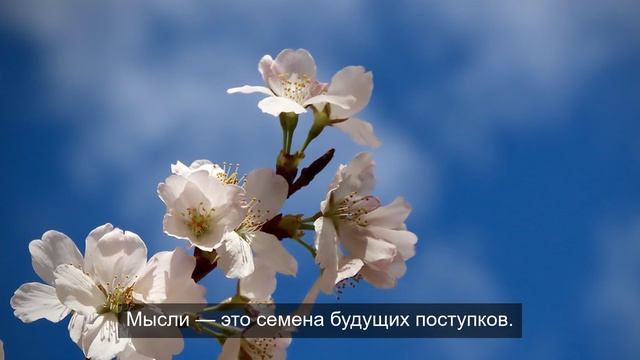 Просмотр уникальных видеороликов часть 17.