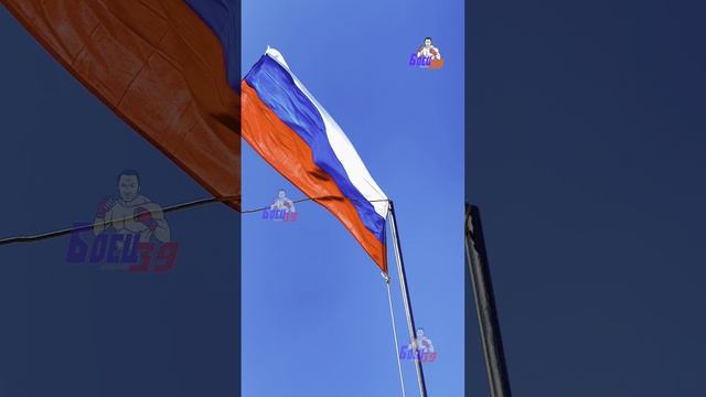 Copy_7686E810-41C4-4740-94C3-F1E6F1319355