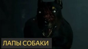 Лапы собаки (Мистическая история, говорящая собака, лес, ручей, деревня, аномальная зона)
