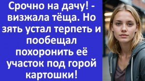 Истории из жизни | Срочно на дачу! - визжала тёща. Но зять устал терпеть... | Аудио рассказы