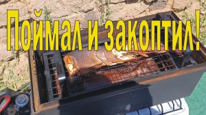 Поймал и закоптил/Рыбалка на щуку и окуня на реке Колутон/Рыбалка на кружки и спиннинг