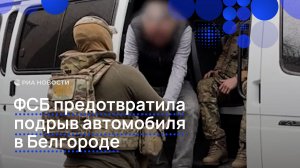 ФСБ предотвратила подрыв автомобиля в Белгороде