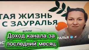 Доход канала Простая жизнь Ольга с зауралья новые Миллионеры