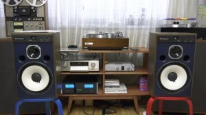JBL 4318 борозды не испортит