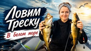 Первый раз ловим треску в белом море/очень много рыбы/что-то пошло не по плану.