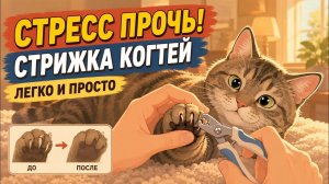 КАК СТРИЧЬ КОГТИ КОШКЕ БЕЗ БОЛИ И БОРЬБЫ： Пошаговый geym chenjer (Секрет ветврачей)