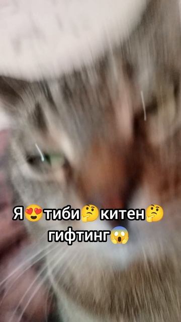 Барсик