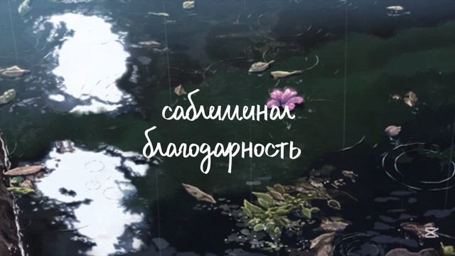 Саблиминал/БЛАГОДАРНОСТЬ