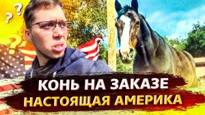 Все серии ! / Кони посреди Лос-Анджелеса / Особенности Электрокара / Tesla Model 3 / Свич 2.7