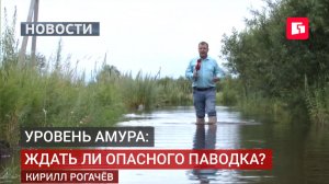 Амур у Хабаровска на метр выше нормы — возможен паводок.28/07/2026