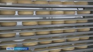 Россия нарастила экспорт молочной продукции