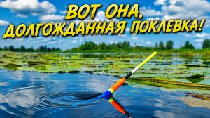 Все условия для безклевия! Но был В ШОКЕ ОТ ЭТИХ КАРАСЕЙ! Рыбалка с поплавком.