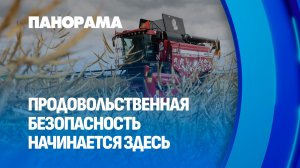 Главный экзамен хлеборобов: чем живут аграрии в уборочную страду? Панорама
