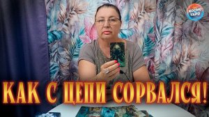 КАК С ЦЕПИ СОРВАЛСЯ! ТЕПЕРЬ ПРИХОДИТСЯ ДЕРЖАТЬ ОТВЕТ ПЕРЕД ВС! | Гадание таро расклад