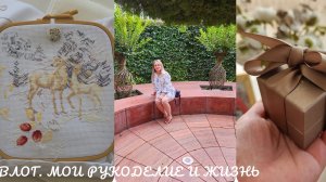 Влог 12/2026. Рукодельничаю и живу. Подарки на день рождения. Прогулка по Волгограду и Краснодару.