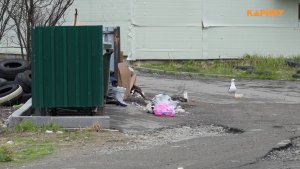 Экспериментальные закрытые мусорные площадки установят в Магадане