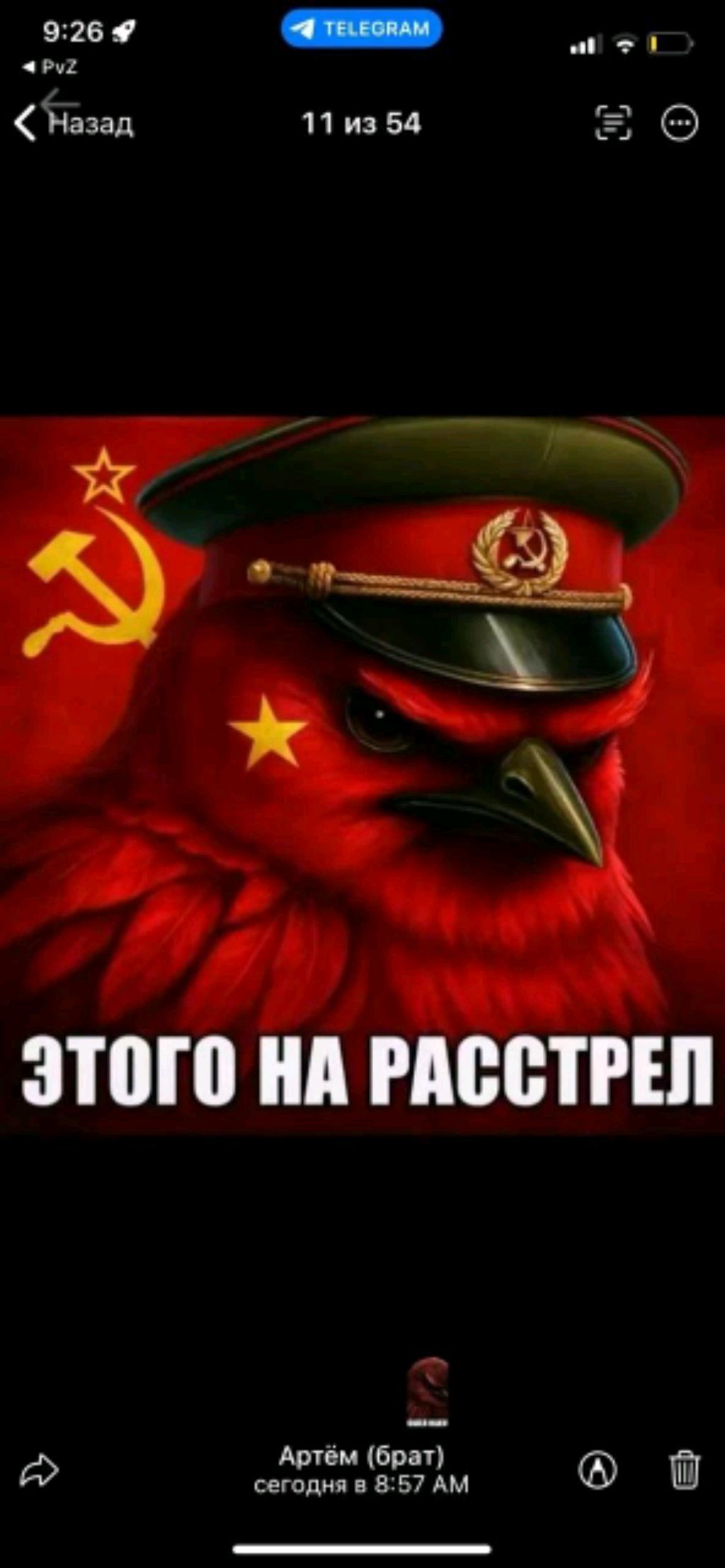 стрим смотреть онлайн