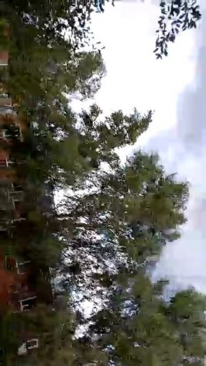 28-07-2026