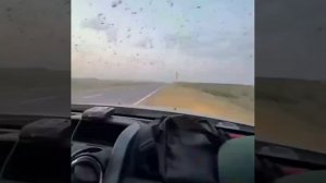 Полчище саранчи заполонило небо над трассой Дагестан – Астрахань