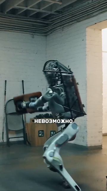 Мы в сингулярности