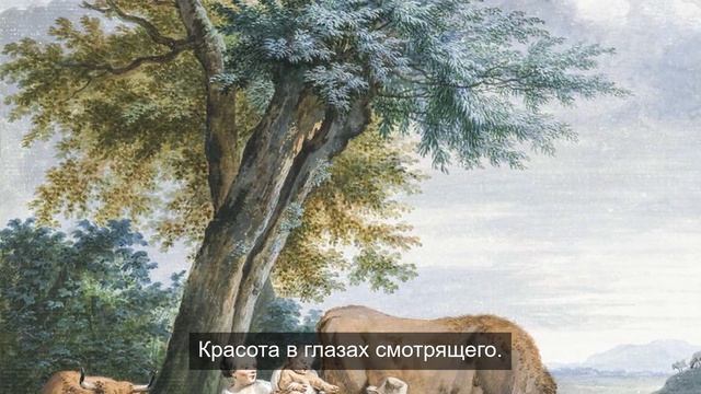 Просмотр уникальных видеороликов часть 5.