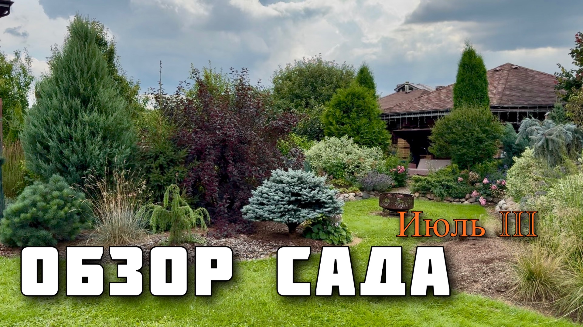 Обзоры сада