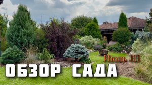 Обзор растений. Прогулка по саду. Многолетники. Кустарники. Хвойные. Июль’26
