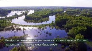 Знакомьтесь - Окский заповедник