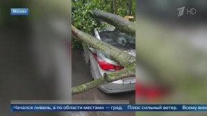 Повалил деревья и повредил машины: ливень с градом накрыл Московский регион.