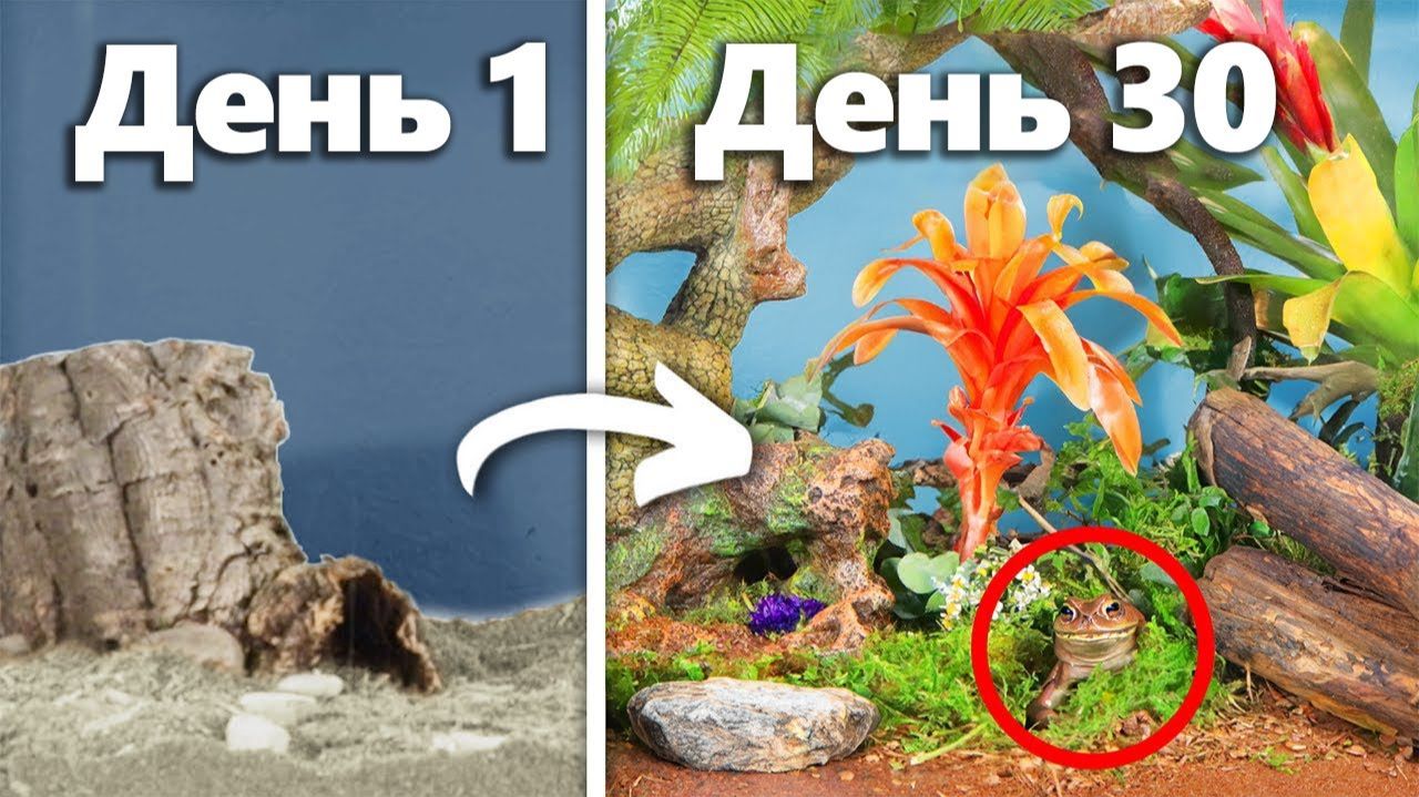 🕷️ TerraGreen / 30 дней симуляции тропического леса: хищники, катастрофы и спасение экосистемы