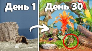 TerraGreen / 30 дней симуляции тропического леса: хищники, катастрофы и спасение экосистемы