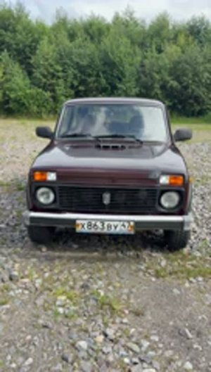 Нива