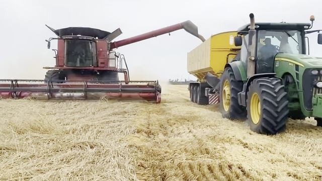 Итэлма. Автопилот на комбайн Claas  #claas #case #итэлма #автопилот #комбайн