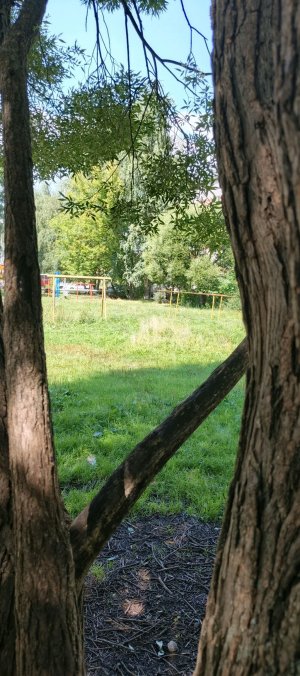Тайные места