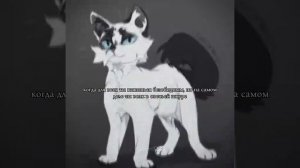 хахахаха это про меня