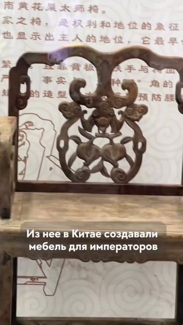 Самое дорогое дерево в Китае