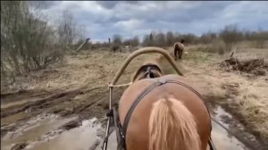 Хлеб и Канализация про  Заселение в1970 е!