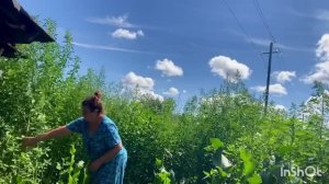 Как не стыдно такое показывать Неужели нельзя купить