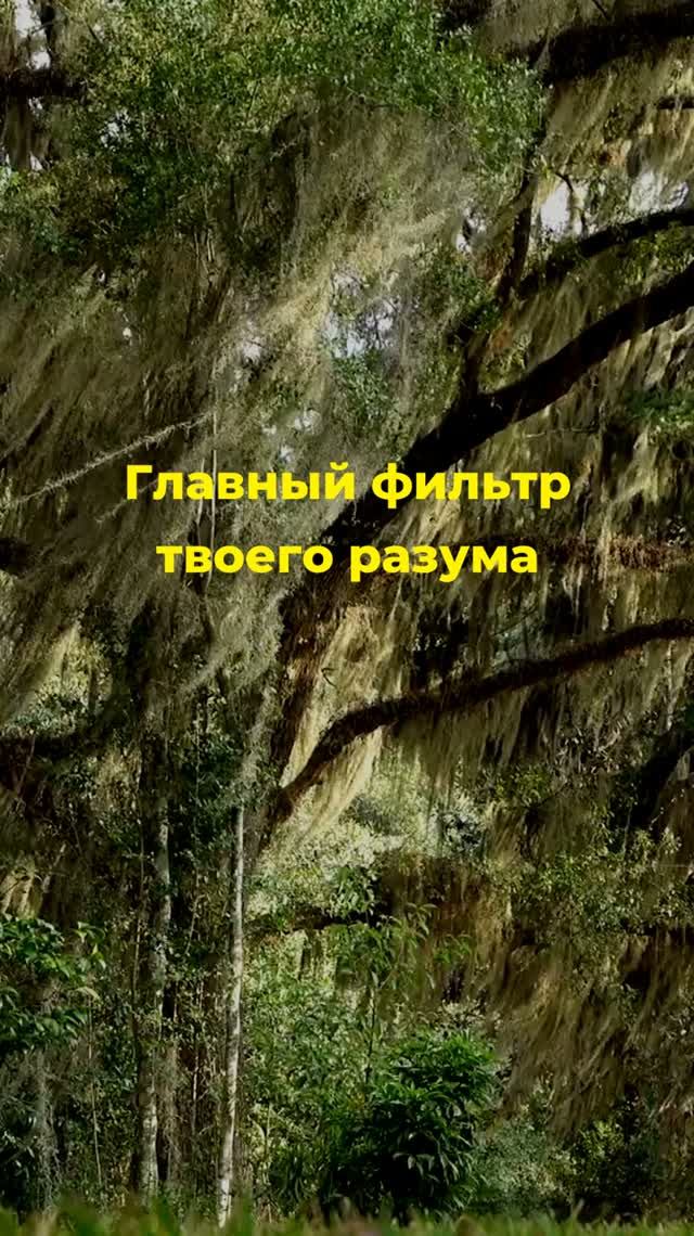 Почему мир подстраивается под наши мысли?