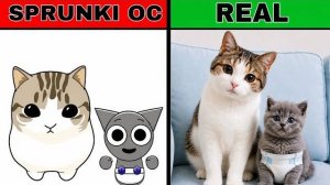 СПРУНКИ OC: КОТ ДАМ ДАМ ДИДИ ДИДИ ПРОТИВ БЭБИ ГРЕЯ В РЕАЛЬНОЙ ЖИЗНИ